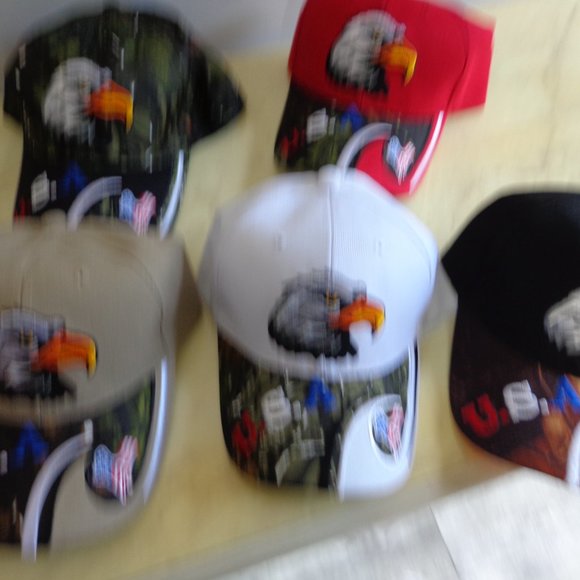 U.S.A. Baseball Cap or Fashion Headwear - Picture 10 of 10